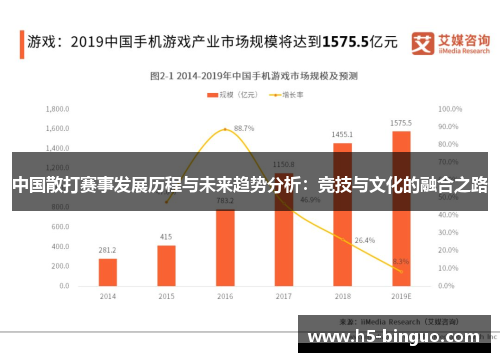 中国散打赛事发展历程与未来趋势分析：竞技与文化的融合之路